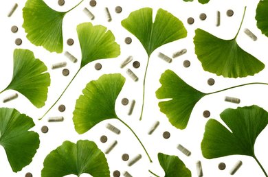 Ginkgo Biloba: benefícios para a pele deste milagre asiático