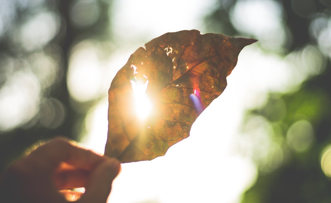 protetor solar com cor