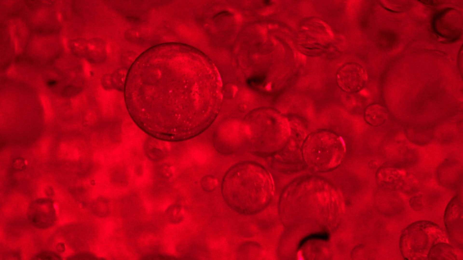 COMPLEXO PRO-COLLAGEN