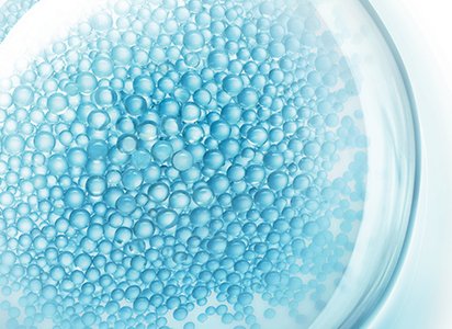 FRAÇÕES DE PROBIÓTICOS