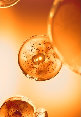 ATIVOS ANTIGLICAÇÃO*